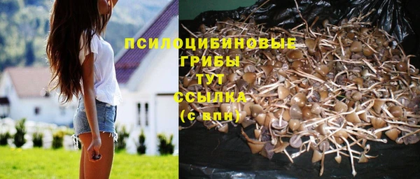 гидра Осташков