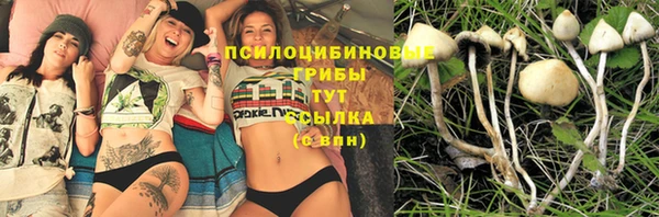 меф Няндома