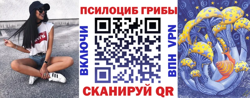 Галлюциногенные грибы GOLDEN TEACHER  цены наркотик  Динская 